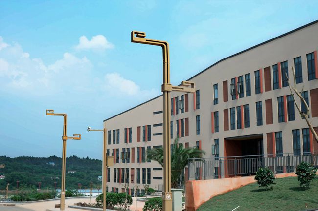 2026年成都師上高中招生計劃及錄取要求